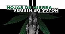 Hojas de hierba - película: Ver online en español