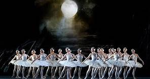 Swan Lake – Act II corps de ballet (The Royal Ballet)