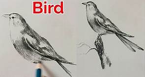 How to draw a bird step by step | Easy bird drawing for beginners