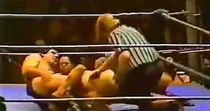1981/03/16 - WWF @ Madison Square Garden (March 16, 1981)