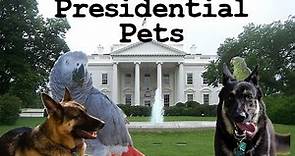 Presidential Pets: the History of Pets in the White House - FreeSchool Presents: Hilarious History