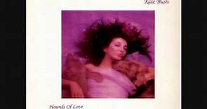 Kate Bush - Be Kind to My Mistakes
