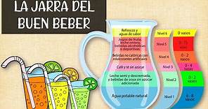 La jarra del buen beber ¿Cuáles bebidas son saludables para nuestro cuerpo? explicación fácil