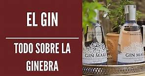 COMO SE HACE LA GINEBRA ( HISTORIA, PRODUCCIÓN Y CATEGORIAS )