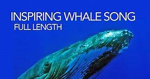 Whale song - full length humpback whale song - soothing sounds of the sea for meditation