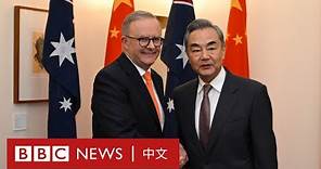 中國外長王毅訪澳：中澳關係重回正軌－ BBC News 中文