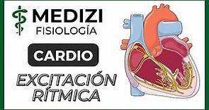 Clase 20 Fisiología Cardíaca 5 - Excitación rítmica del corazón (IG:@doctor.paiva)