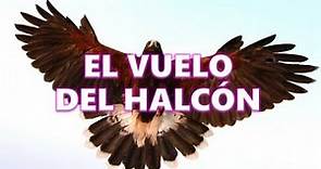 El vuelo del halcón - Reflexión