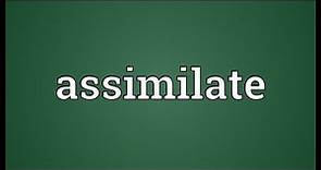 Assimilate Meaning