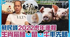 蘇民峰2022年生肖運程｜屬豬、鼠、牛運程篇