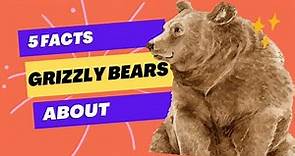 5 Facts about Grizzly Bears
