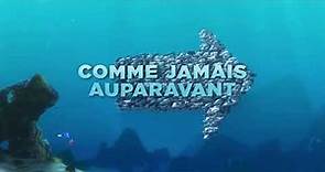 Le Monde de Nemo 3D Bande Annonce [Au cinéma le 24 décembre]