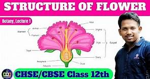 Structure of flower || Class 11th/12th #biology#botany#flower