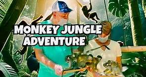 🌿 Explore the Rainforest & Meet Monkeys at Monkey Jungle in Miami, Florida 🐒