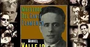 Manuel Vallejo - Fandangos: Yo No Me Hubiera Perdio / Ruégale a Dios por Salud (Flamenco Masters)
