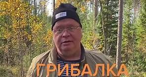 Vladimir Nikolaev (@nikolaevcongress)’s videos with оригинальный звук - Vladimir Nikolaev