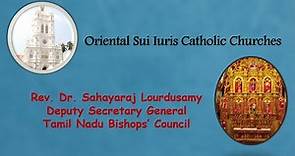 6. Canon Law in English : Oriental sui iuris Catholic Churches
