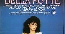 La señora de la noche (1986) Online - Película Completa en Español - FULLTV