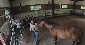 Jennifer O’Neill’s non-profit changes lives with the help of horses