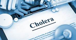 WATCH | Cholera outbreak: How it is spread and how to keep safe
