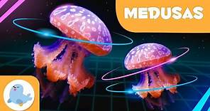 La medusa 👾 Animales para niños 🌊 Episodio 9