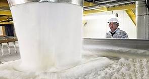 How Sugar is Made