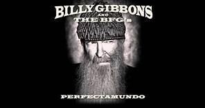 Billy Gibbons - You're What's Happenin' Baby from Perfectamundo