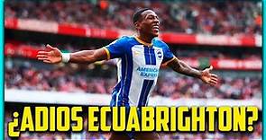 🇪🇨 PERVIS ESTUPIÑAN & su POSIBLE SALIDA del BRIGHTON