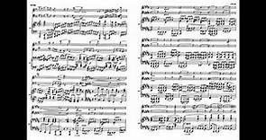 Brahms Piano Trios Complete