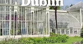 We wanted to know your top Dublin day-out activities, and you delivered in droves! 🌼 National Botanic Gardens - @nationalbotanicgardens_ireopw 🫖 Vintage Tea Trips - @vintageteatripsdublin ⛴️ Howth Adventures - @howthadventures 🥃 Teeling Whiskey Distillery - @teelingwhiskey 🎥 lucycblack_ [IG] vintageteatripsdublin [IG] howthadventures [IG] teelingwhiskeydistillery [IG] | Visit Dublin
