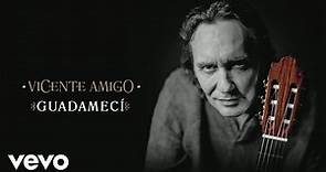 Vicente Amigo - Guadamecí (Audio)