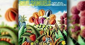 [1991] Dave Samuels / Natural Selection (Full Album)
