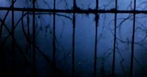 Friday the 13th: Part VI - Jason Lives (1986) - Movie Trailer