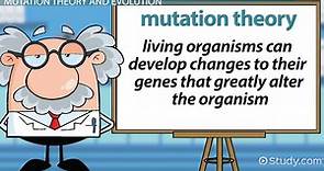 Mutation Theory by De Vries | Experiments, Key Terms & Features