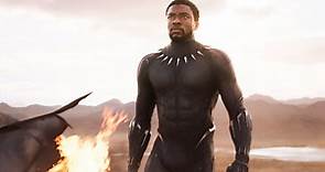 ‘Black Panther’: What the Critics Are Saying