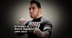 Lucha Underground: Tribute to Perro Aguayo Jr.
