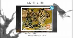 abc wildlife - App review