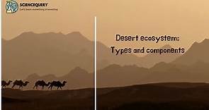 Desert Ecosystem Types & Components