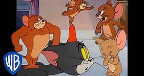 Tom & Jerry in italiano 🇮🇹 | Jerry in Piena Forza 🐭 | WB Kids