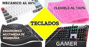 ✅TODOS LOS TIPOS DE TECLADOS según sus materiales, distribución, tamaños, conexiones, y diseños.