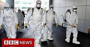 Coronavirus: South Korea has seen its confirmed cases spike - BBC News