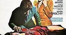 Los fríos senderos del crimen (1974) Online - Película Completa en Español - FULLTV