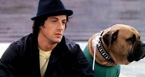 Sylvester Stallone: la cruda y emotiva historia de su perro 'Butkus'