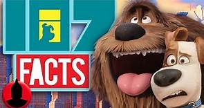 107 The Secret Life of Pets Facts You Should Know | Channel Frederator