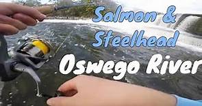 Salmon Trout and Steelhead Fishing Oswego River NY