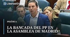 La bancada del PP aplaude la definición de Juan Lobato sobre la Sanidad Madrileña