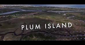 Luxury Real Estate: Plum Island Aerial Video