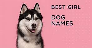 22 Best Girl Dog Names 🐶 Popular Names for Female Dogs