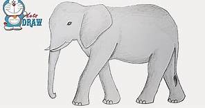 How to draw elephant step by step