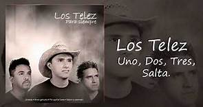 Los Telez - Uno, Dos, Tres, Saltar (Audio Oficial)